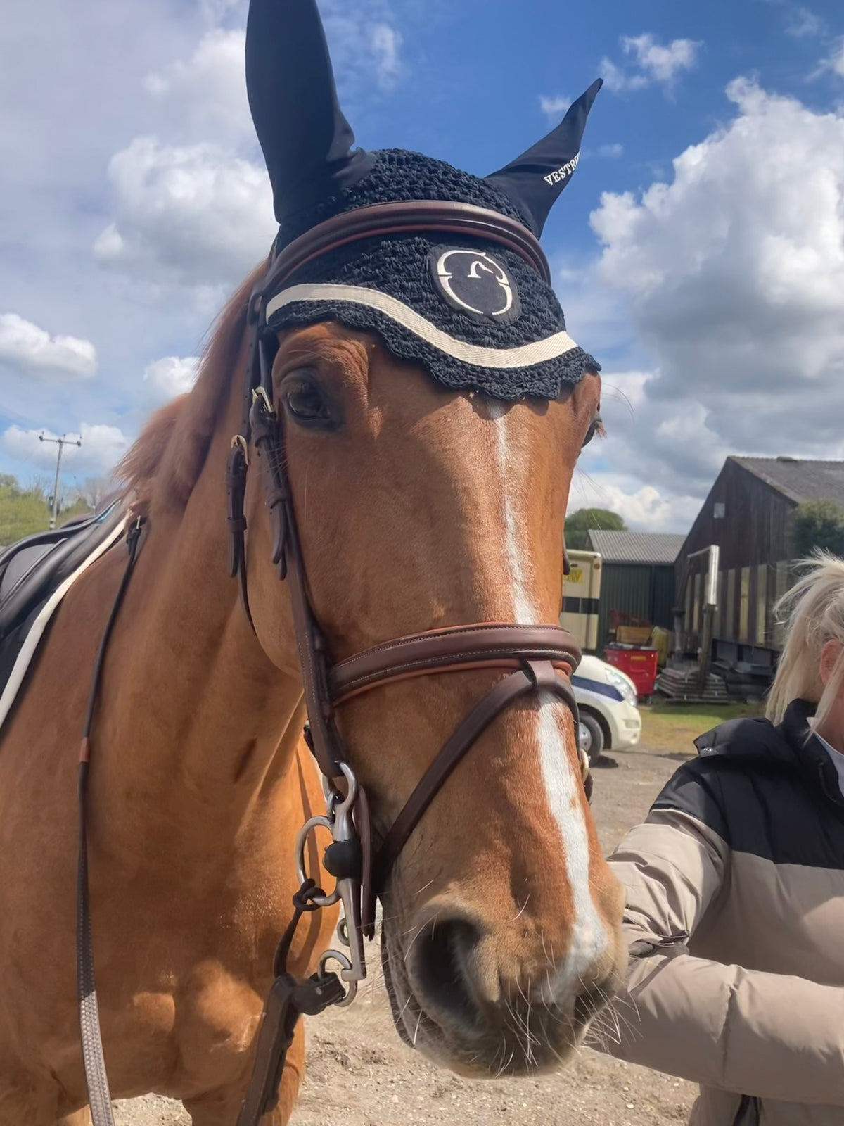 'Signature' Working Bridle (Full Size)