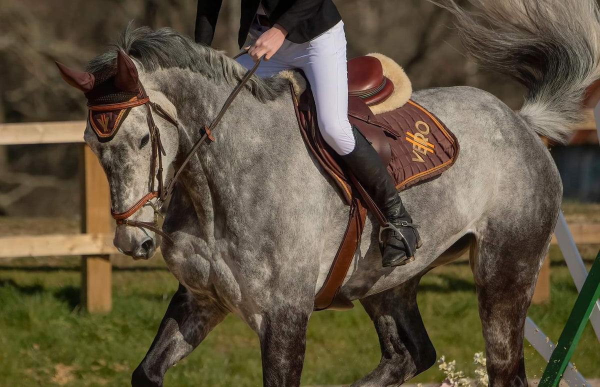 Team Jumping Saddle Pad