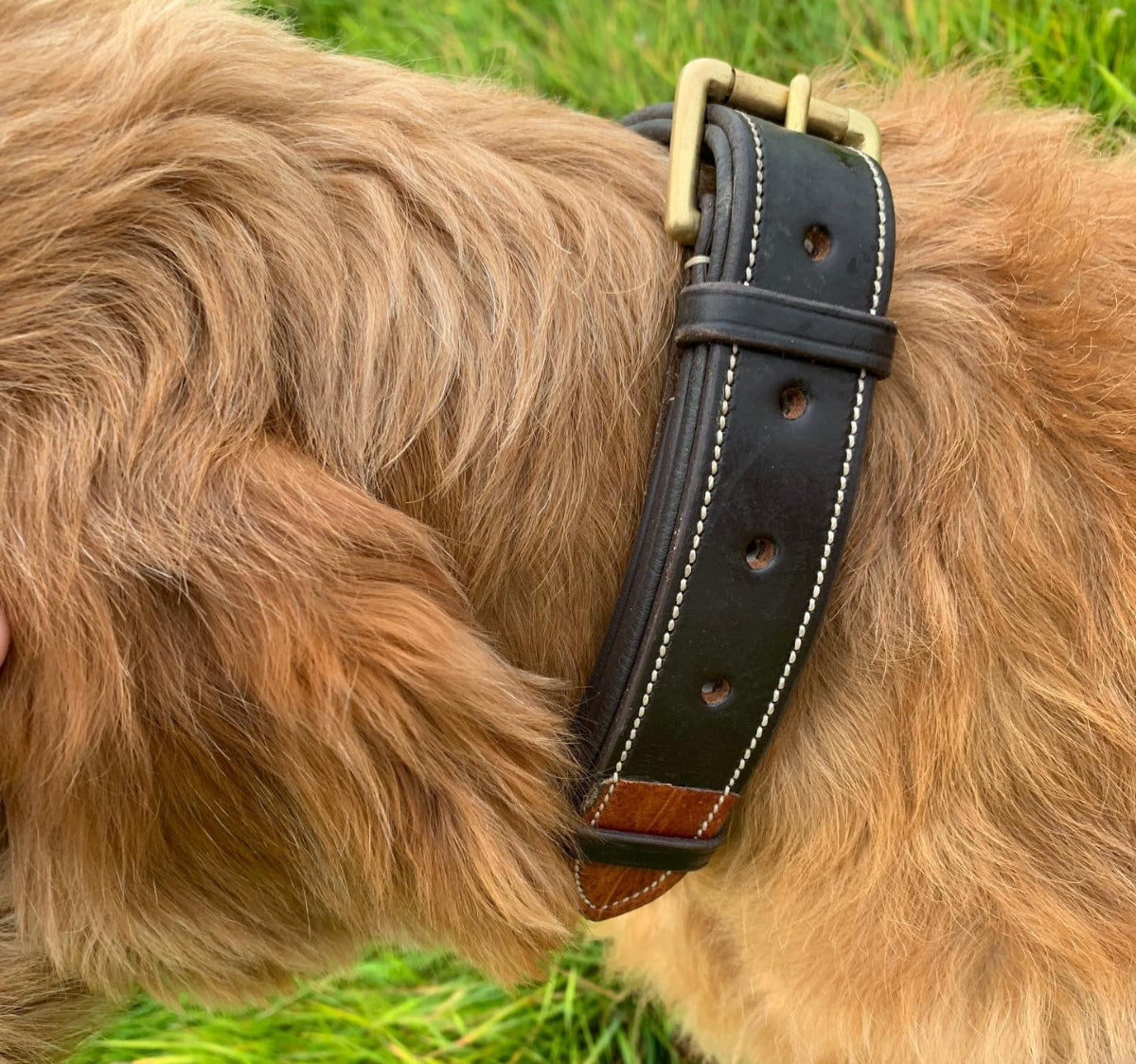 Large Dog Collars