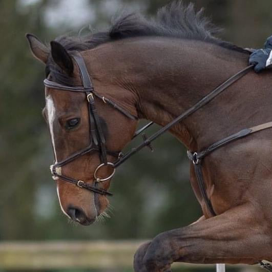 Eventer Raised Soft Grip Rubber Reins