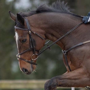 Eventer Raised Soft Grip Rubber Reins