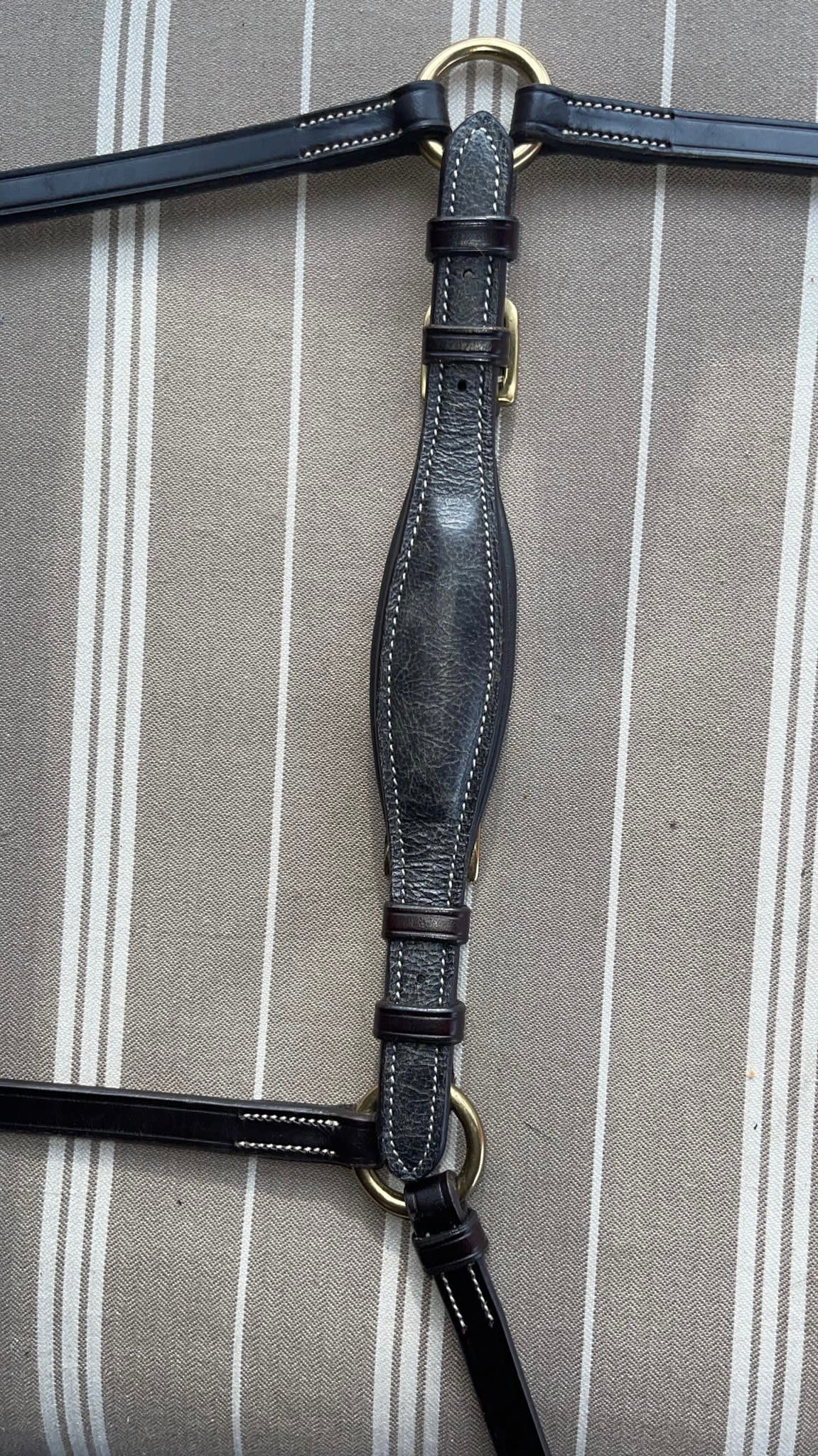 Drop Noseband