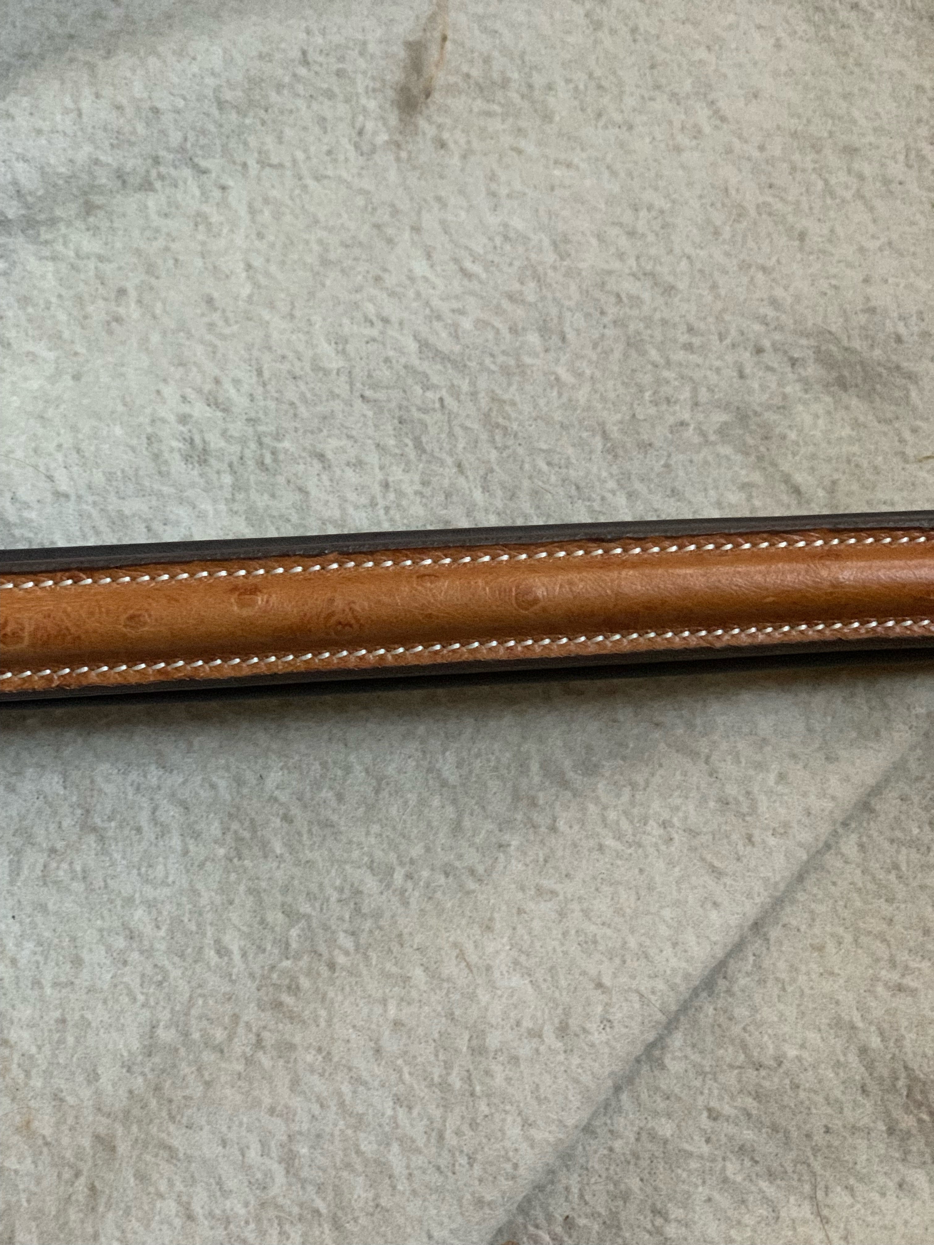 VERO Browband (Full Size)