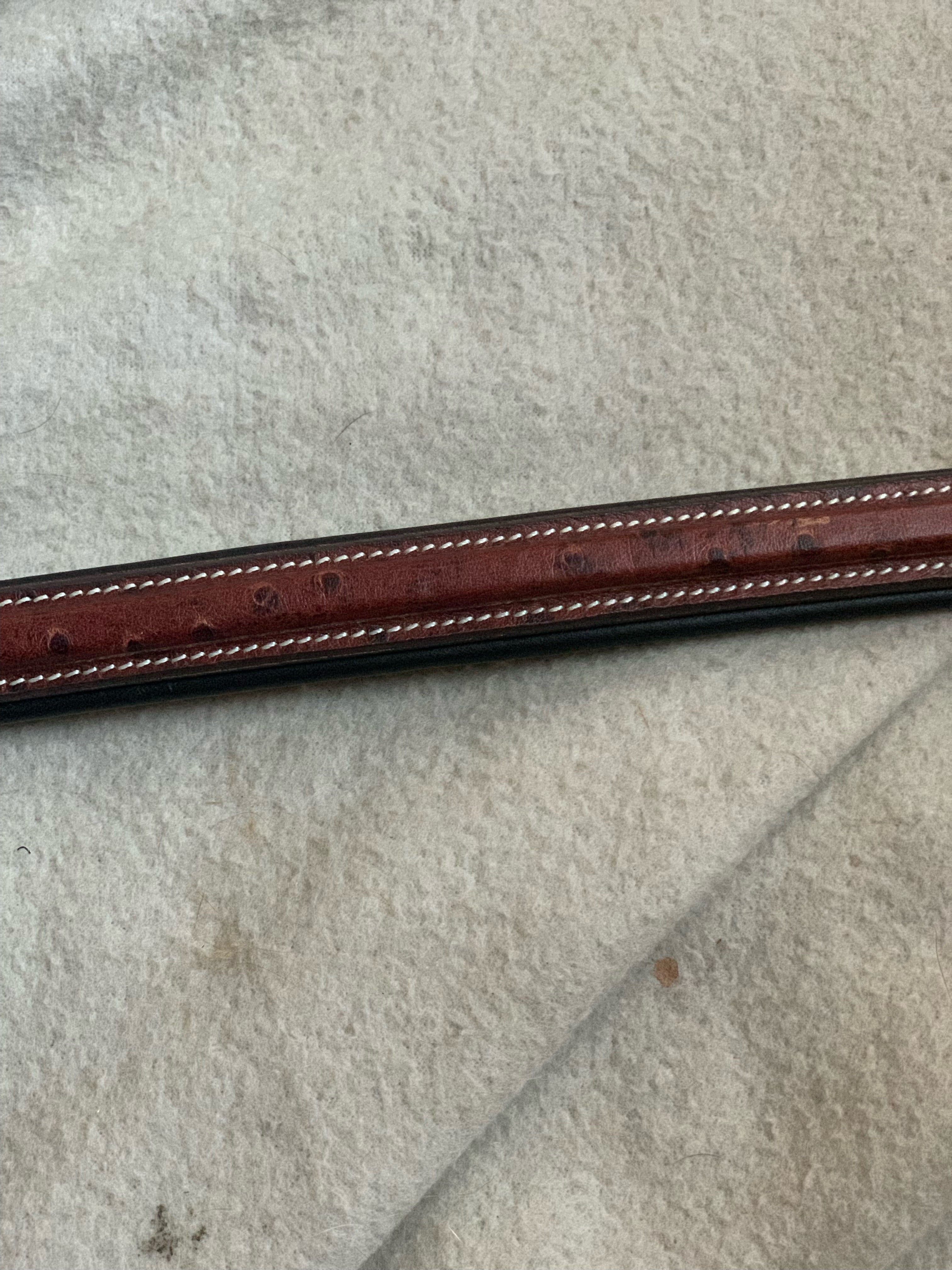 VERO Browband (Full Size)