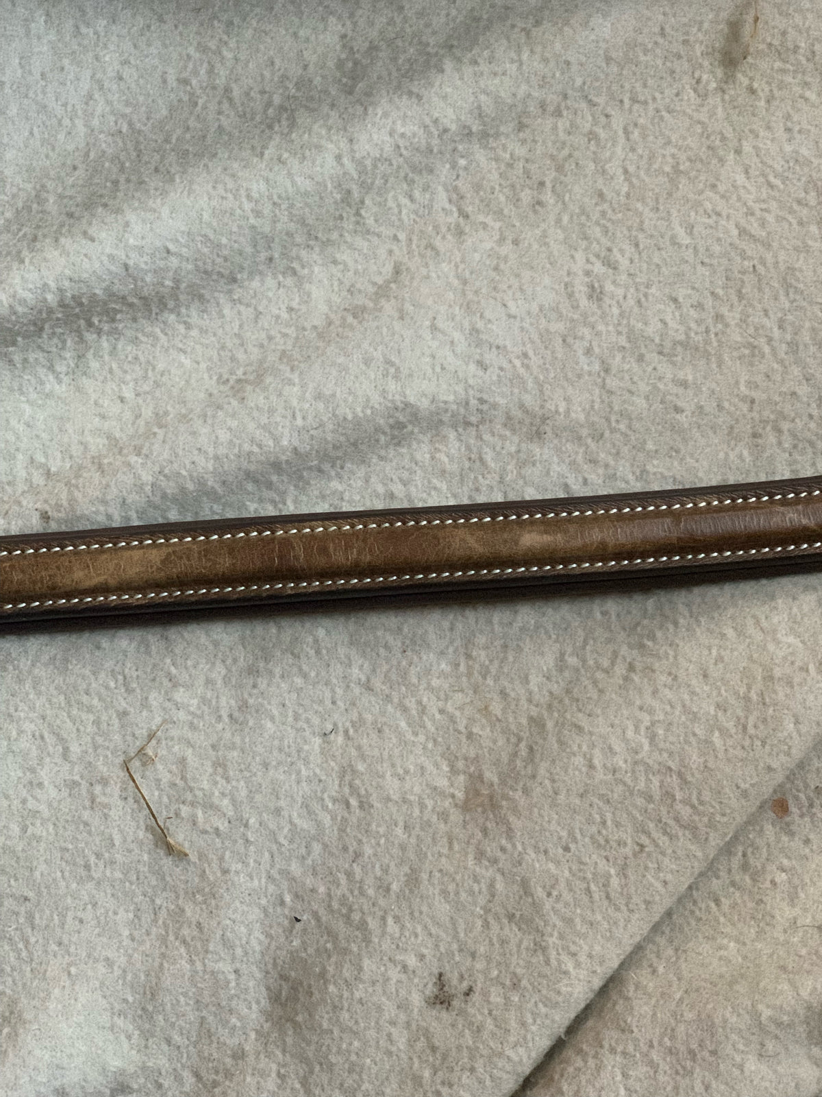 VERO Browband (Full Size)