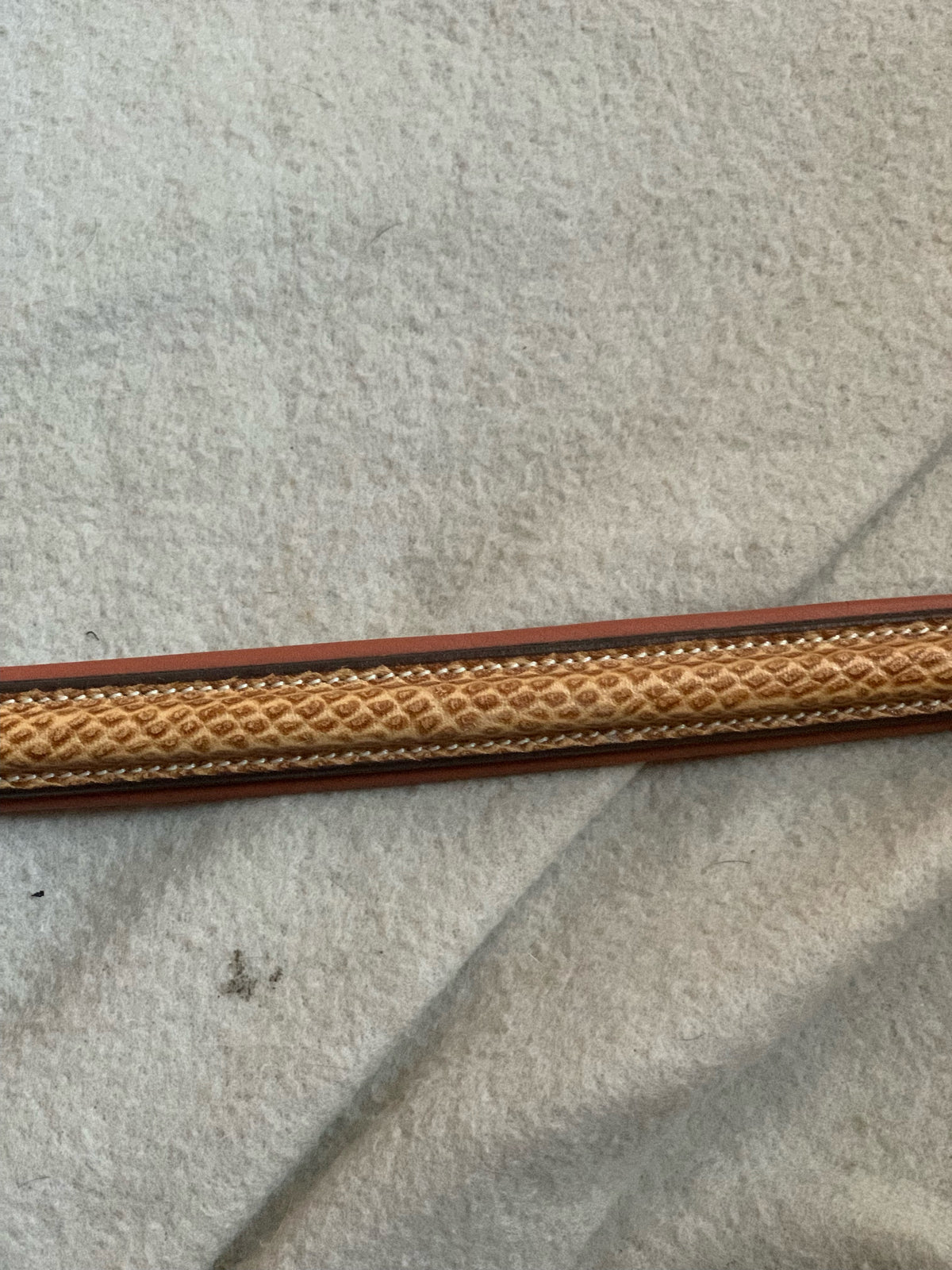VERO Browband (Full Size)